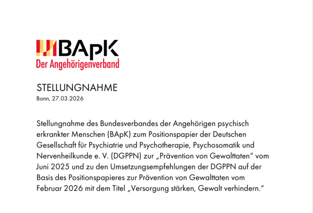 Screenshot der Stellungnahme